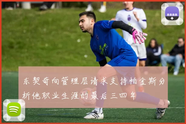 东契奇向管理层请求支持帕金斯分析他职业生涯的最后三四年